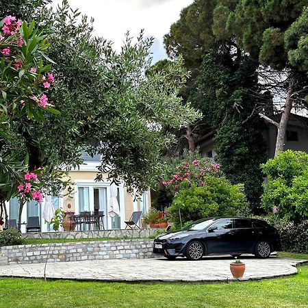 Villa Vasiliki Palaiontsiflikion Exterior photo