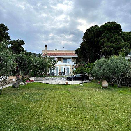 Villa Vasiliki Palaiontsiflikion Exterior photo