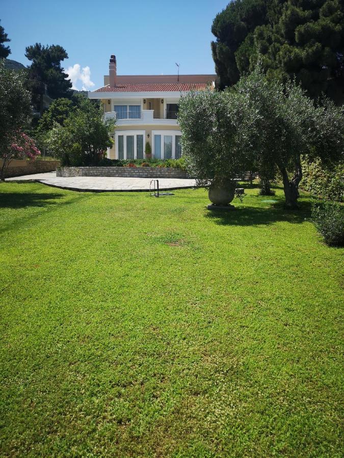 Villa Vasiliki Palaiontsiflikion Exterior photo